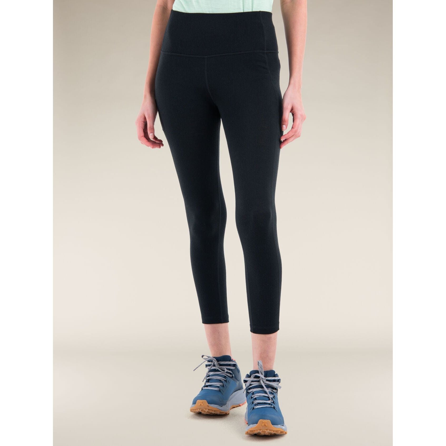 Icebreaker Women's Merino 260 Fastray 25in High Rise Tights