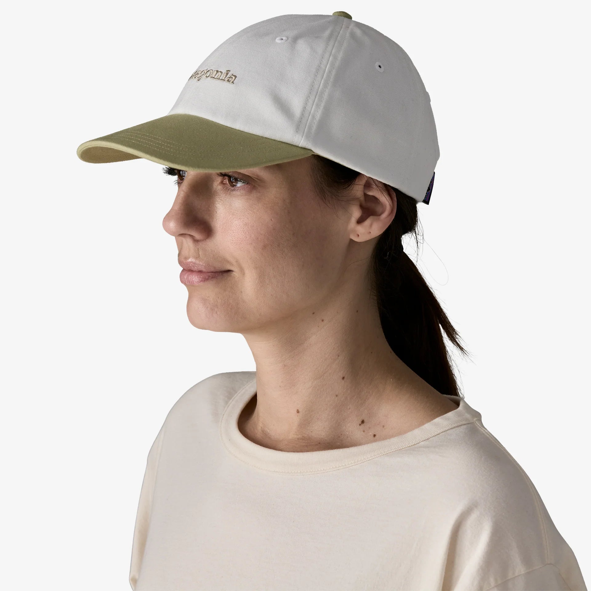 Patagonia Fitz Roy Icon Trad Cap