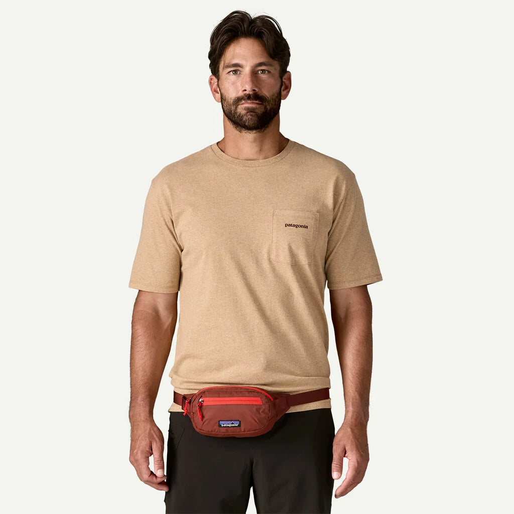 Patagonia Terravia Mini Hip Pack