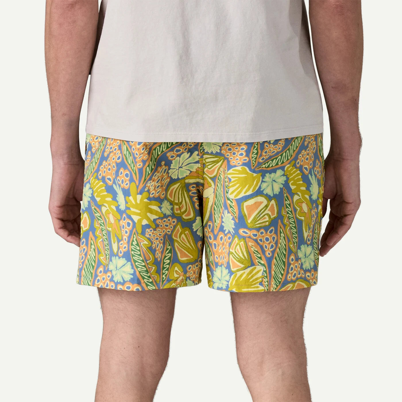 Patagonia Men's Baggies Shorts - 5"