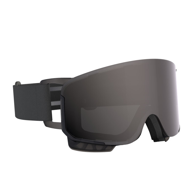 POC Nexal Ski Goggle