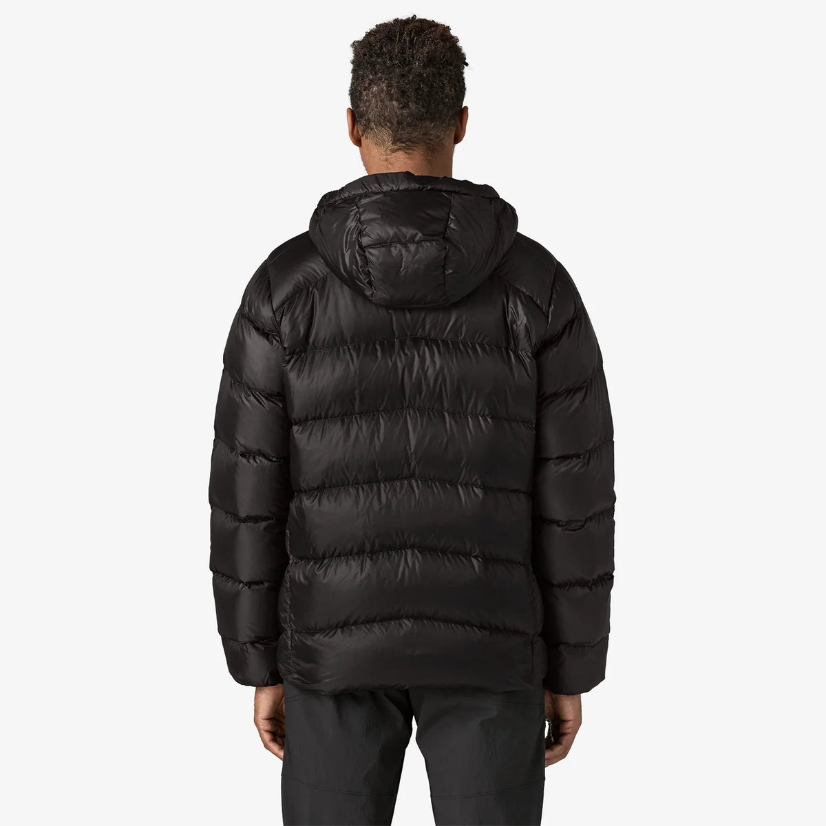 Patagonia Men's Fitz Roy Down Hoody