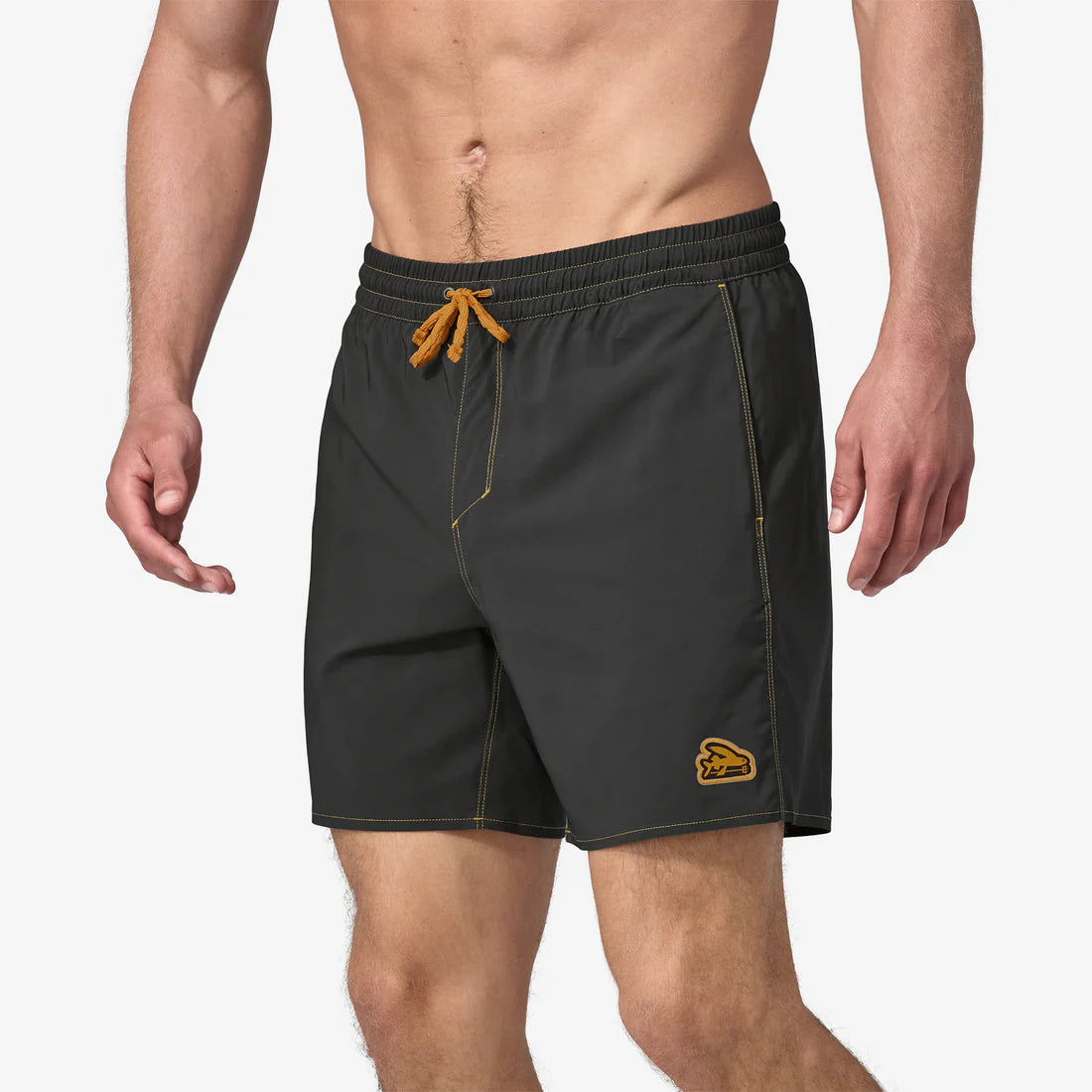Patagonia Men's Hydropeak Volley Shorts - 16 in. '25