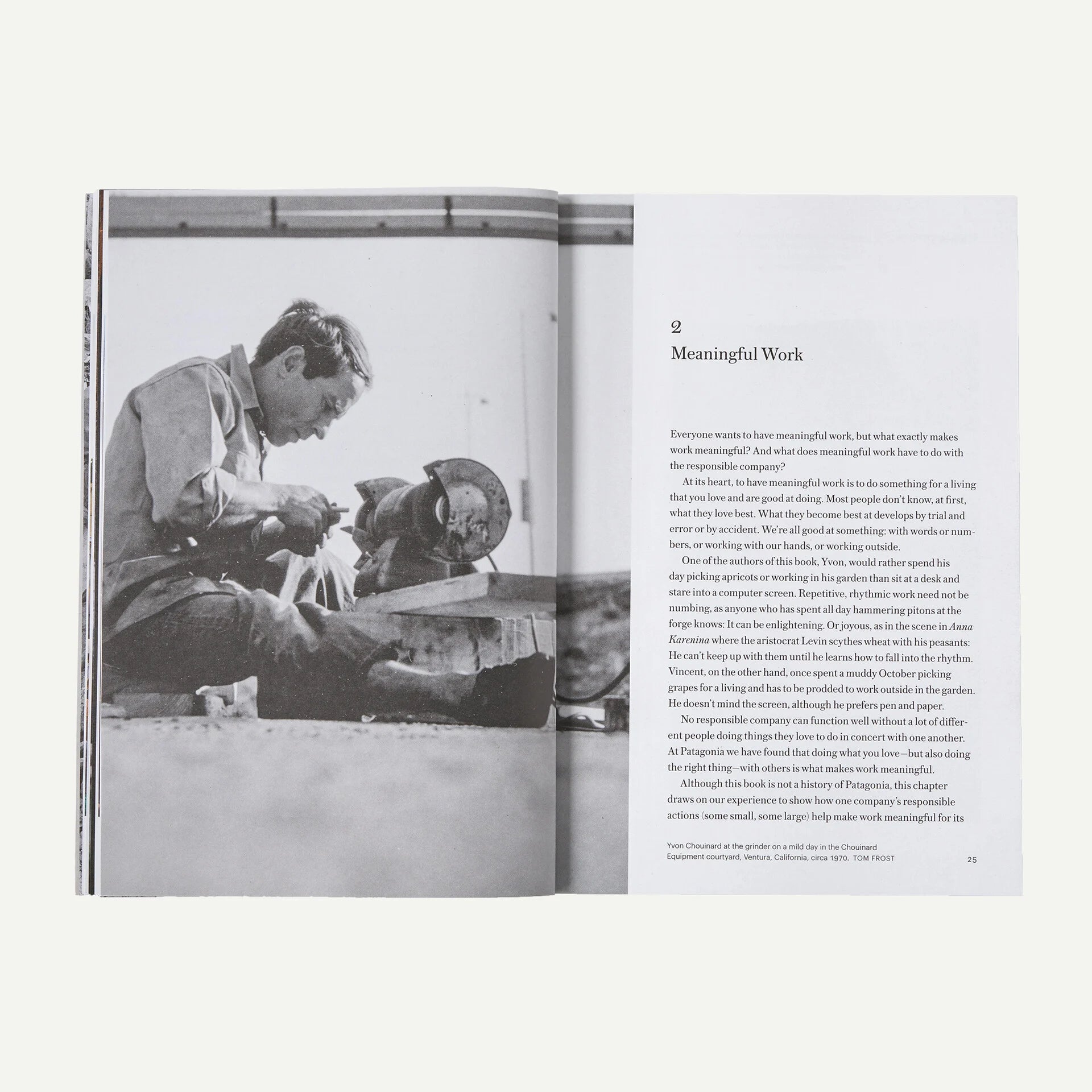 Patagonia The Future of the Responsible Company Book (paperback)