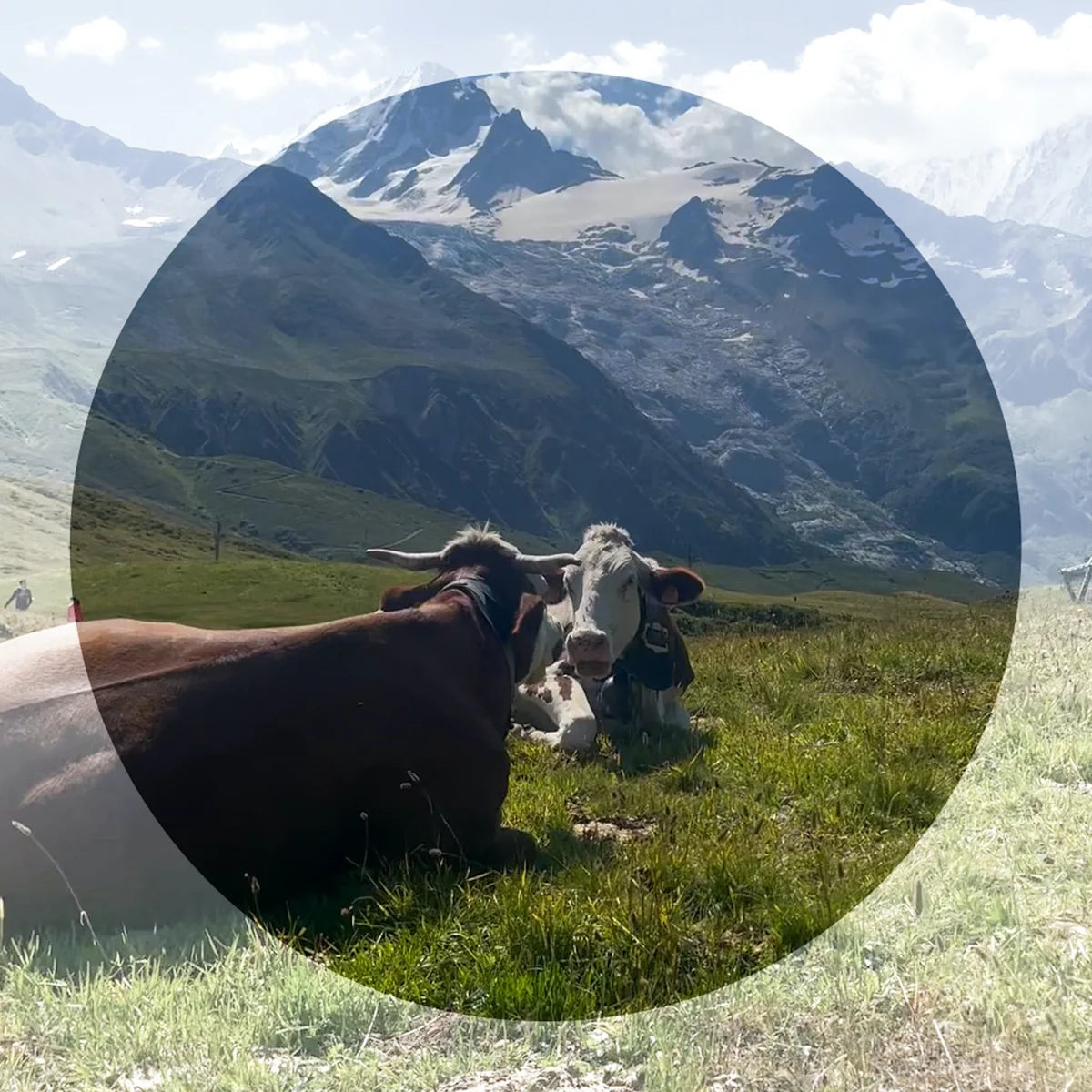 Vuarnet Legend 07 Original Sunglasses