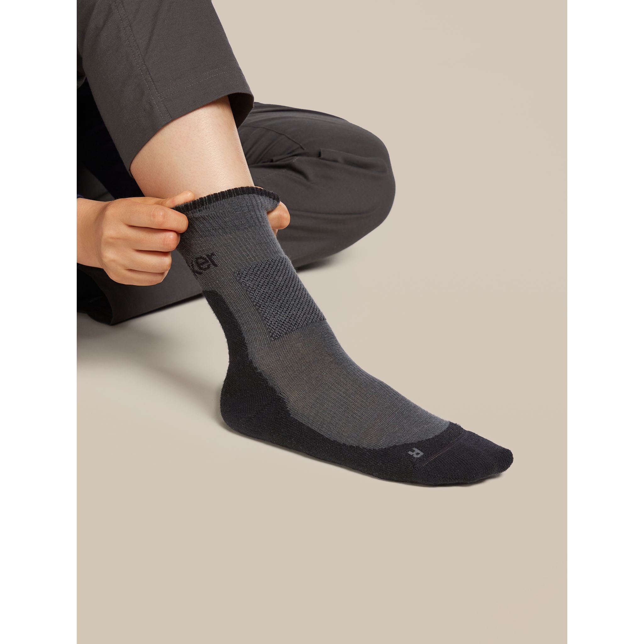 Icebreaker Women's Merino Hike+ Medium Crew Socks