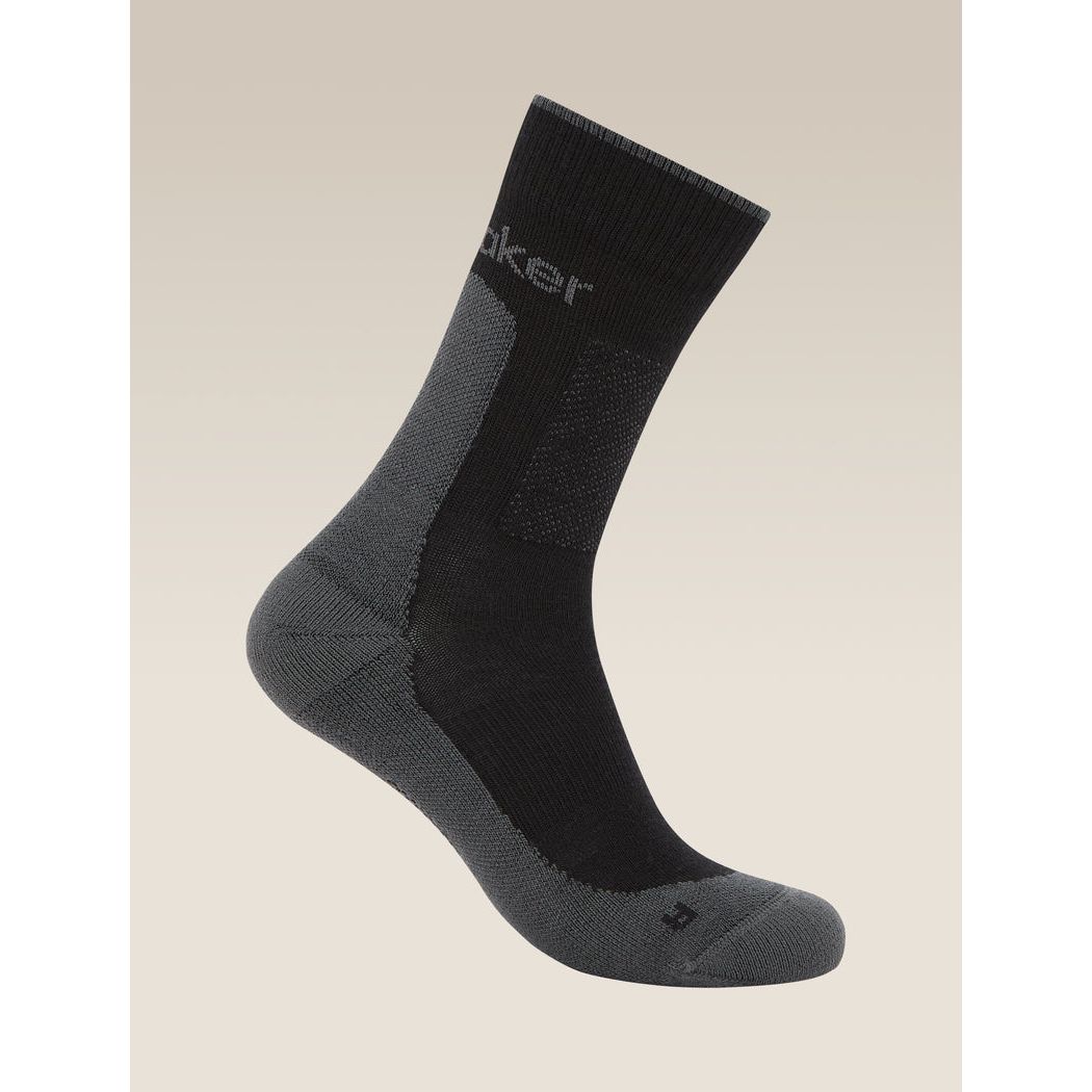 Icebreaker Men's Merino Hike+ Medium Crew Socks