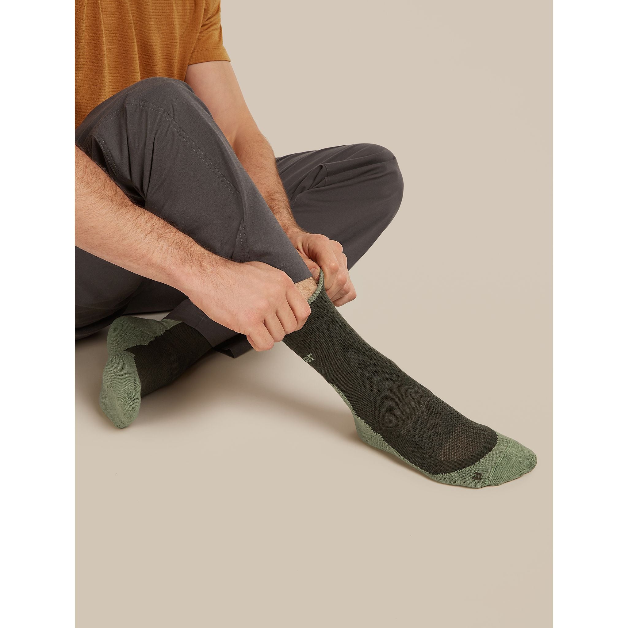 Icebreaker Men's Merino Hike+ Light Crew Socks