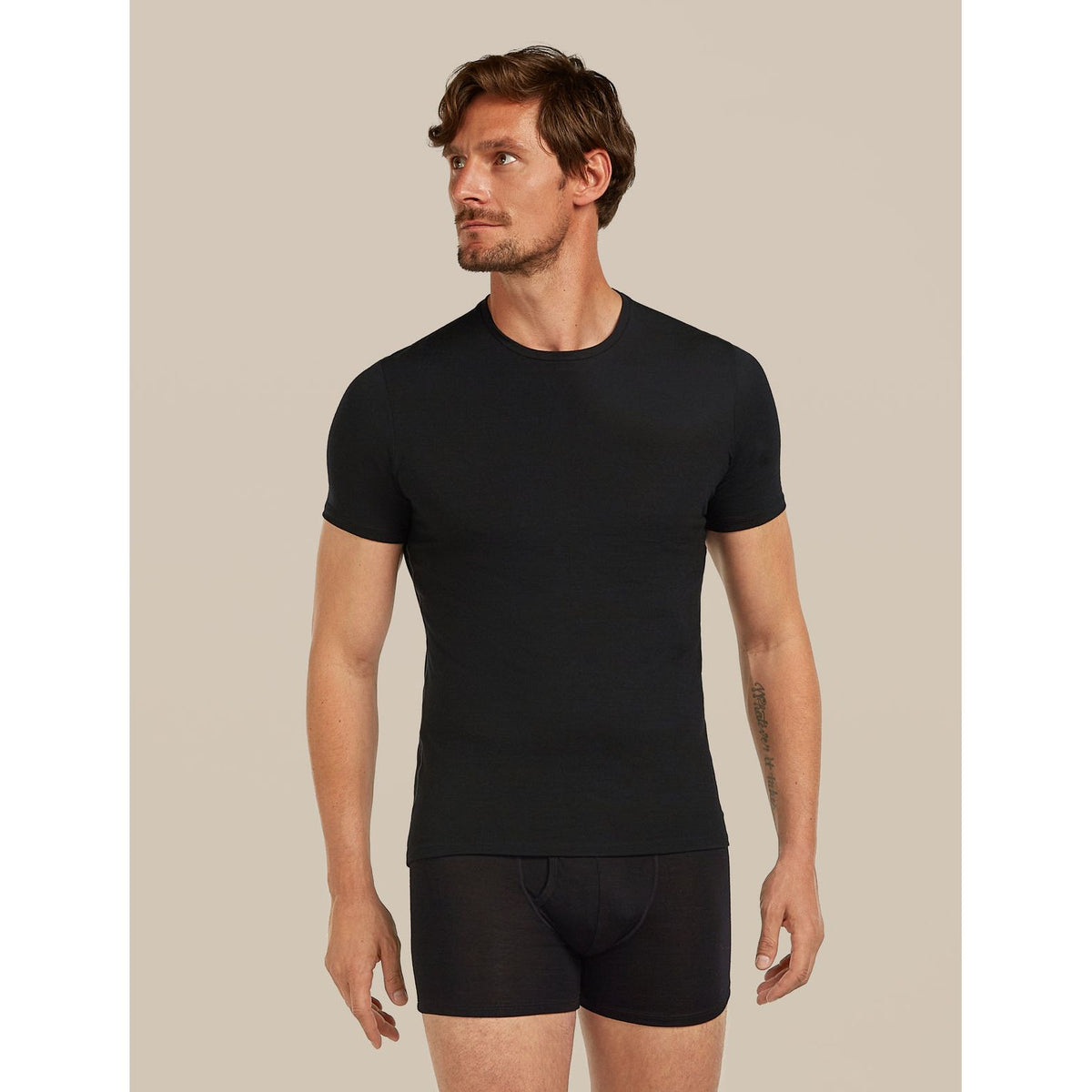 Icebreaker Men's Merino Anatomica Crewe T-shirt