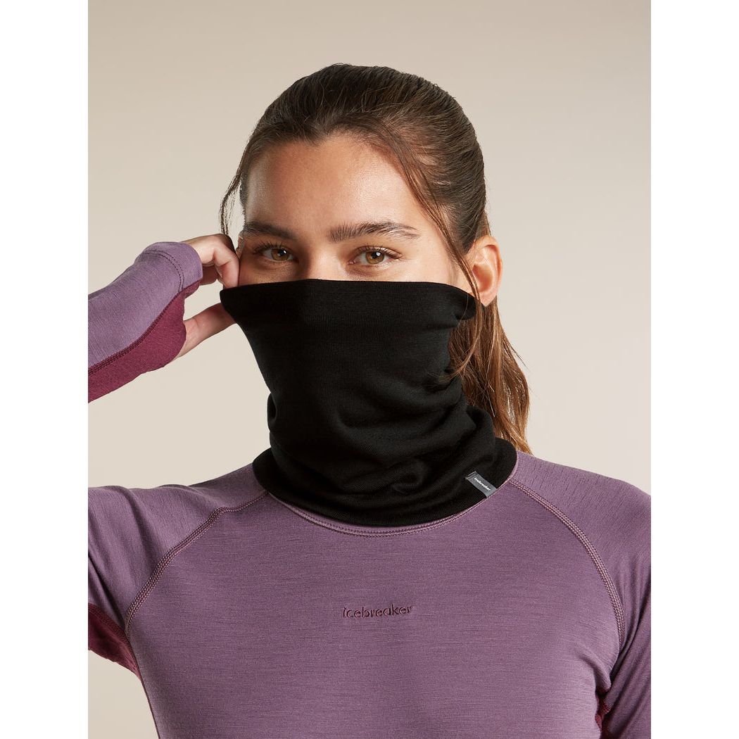 Icebreaker Merino 260 Oasis Chute