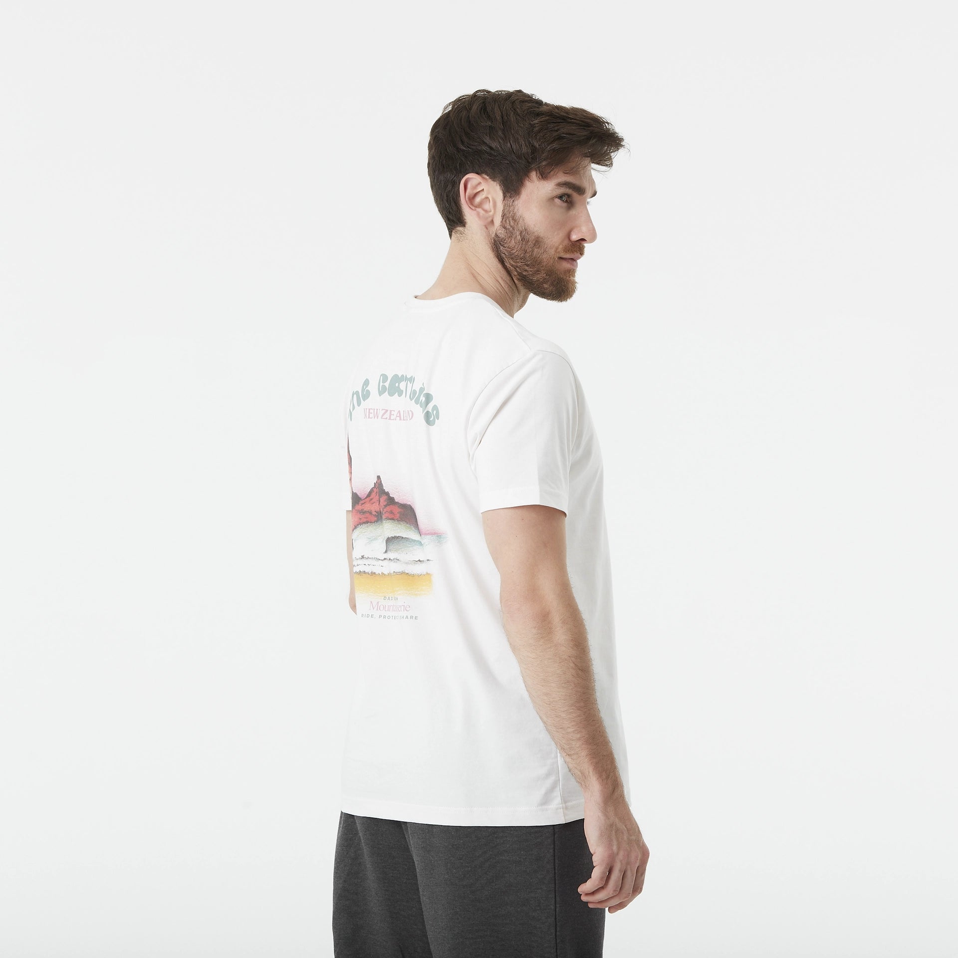 Picture D&S Catlins T-Shirt