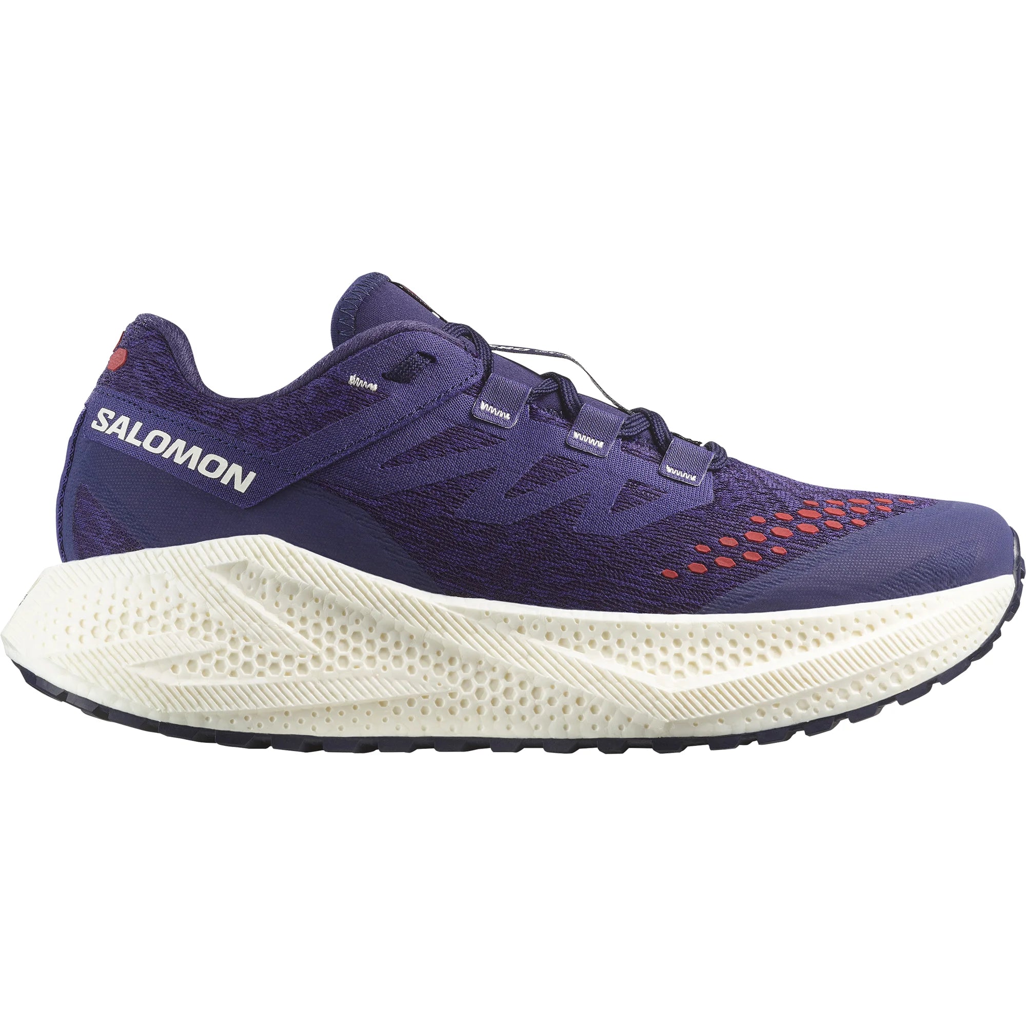 Salomon Men's Aero Glide 3 Grvl Trail Running Shoes