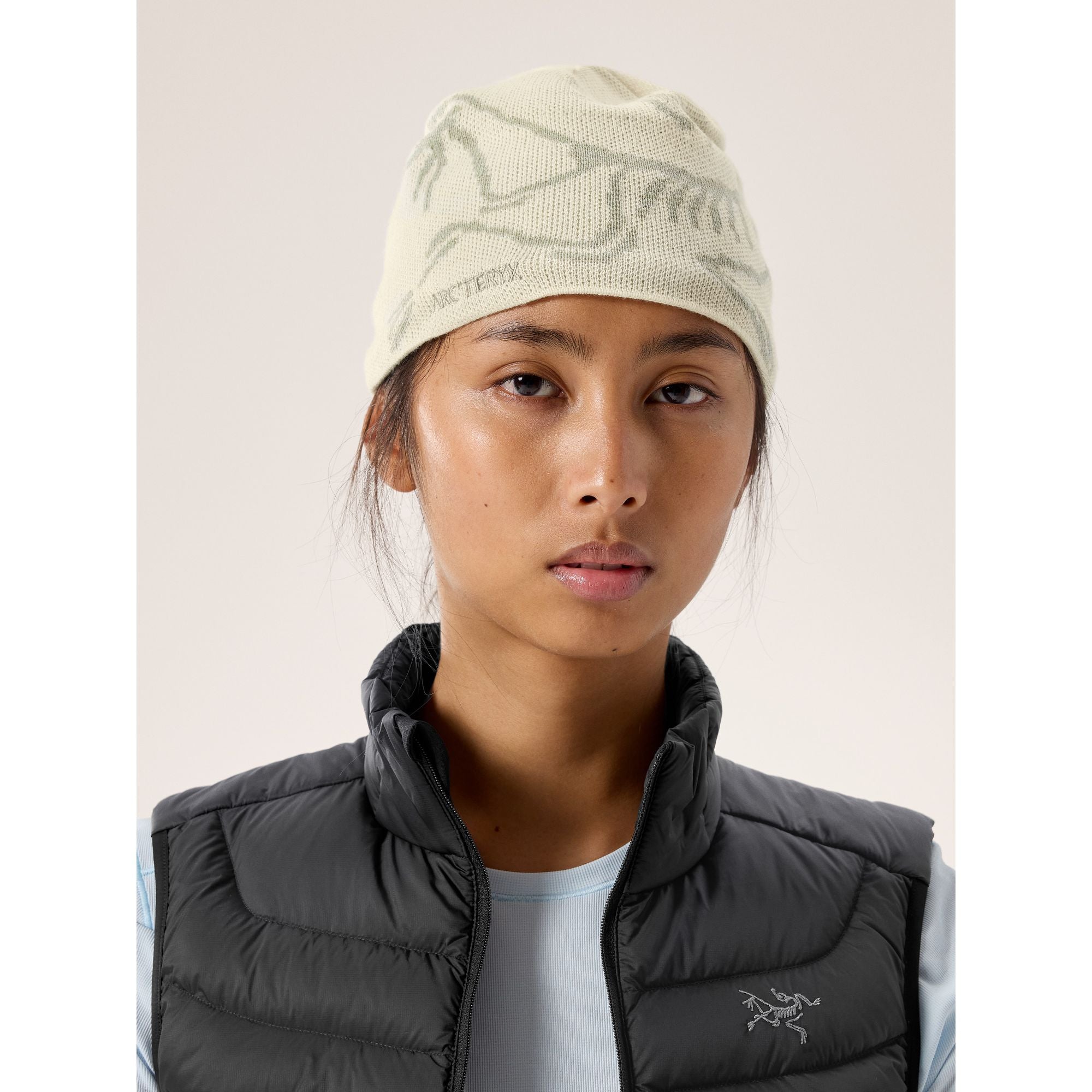 Arc'teryx Bird Head Toque Beanie