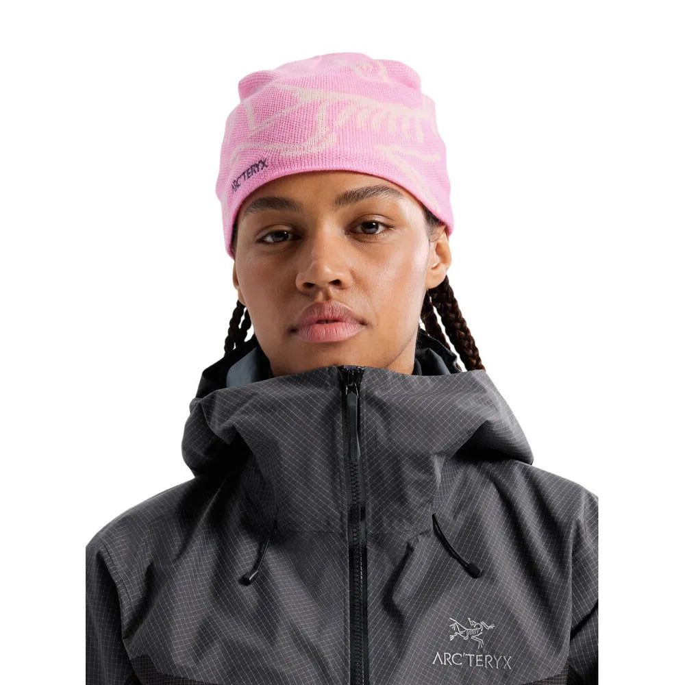Arc'teryx Bird Head Toque Beanie