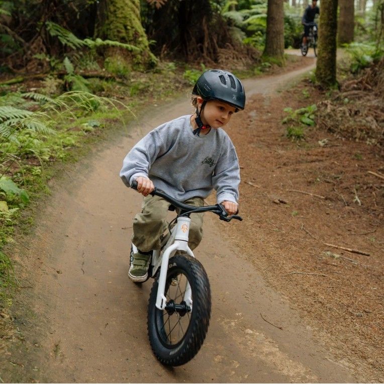 Kids Ride Shotgun Dirt Hero Off-Road Balance Bike w/ Magura Disc Brake