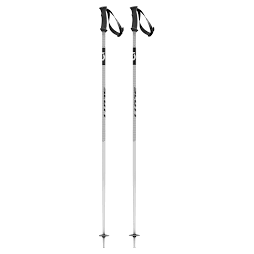 Scott 540 Pro Ski Pole