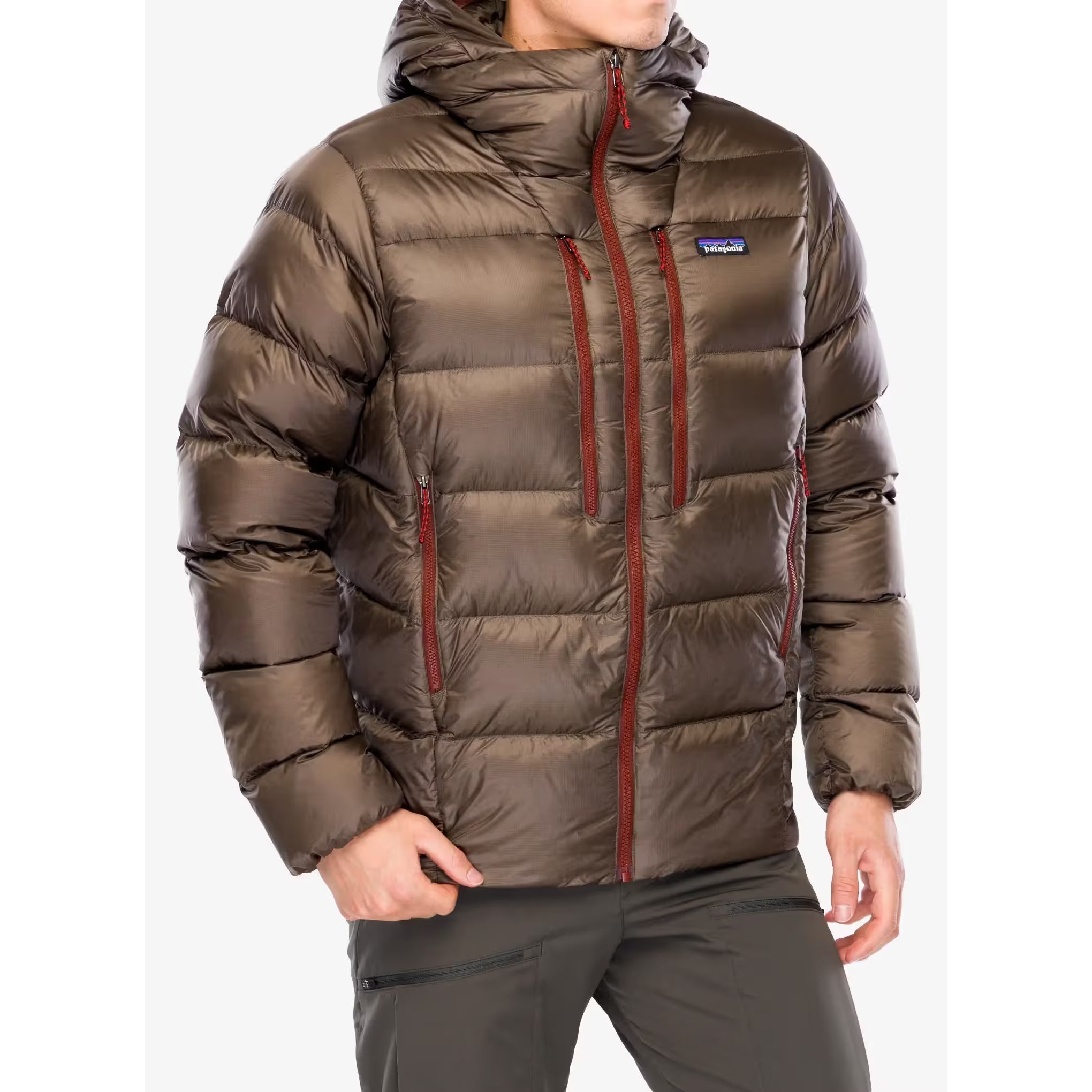 Patagonia Men's Fitz Roy Down Hoody