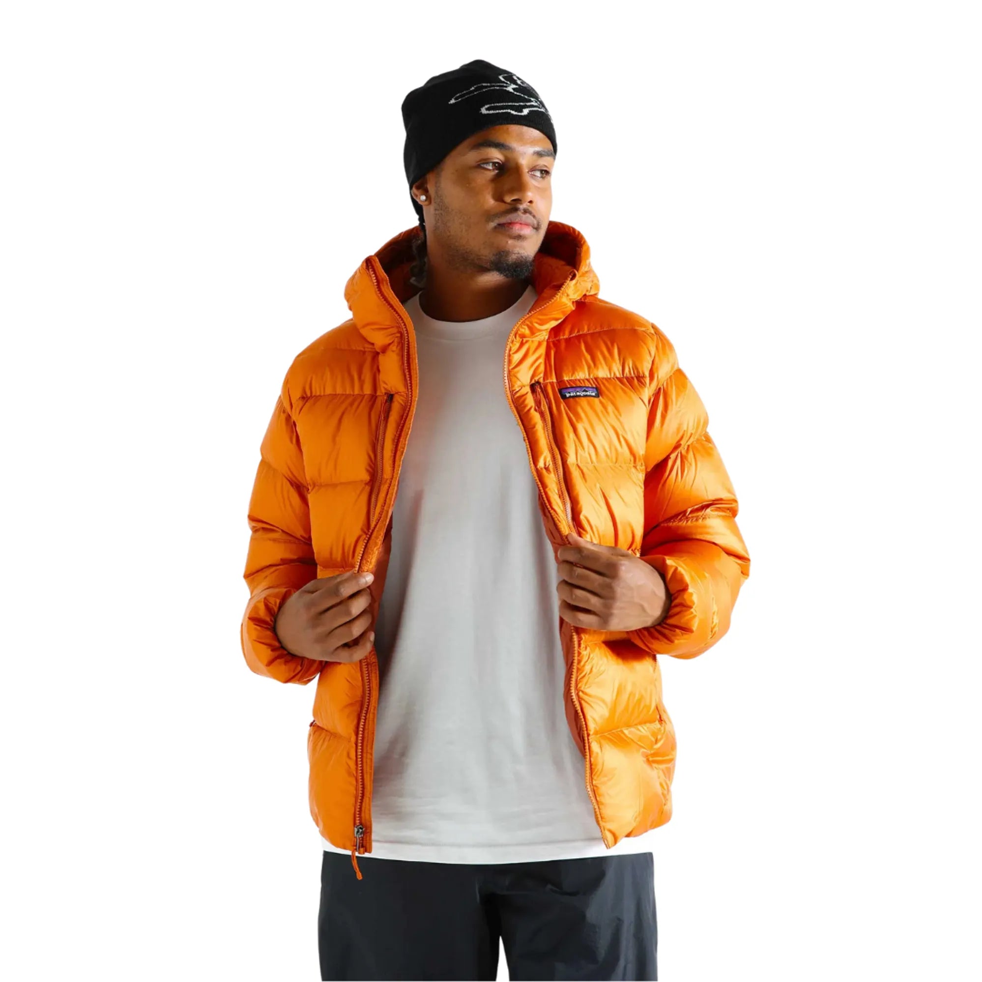 Patagonia Men's Fitz Roy Down Hoody