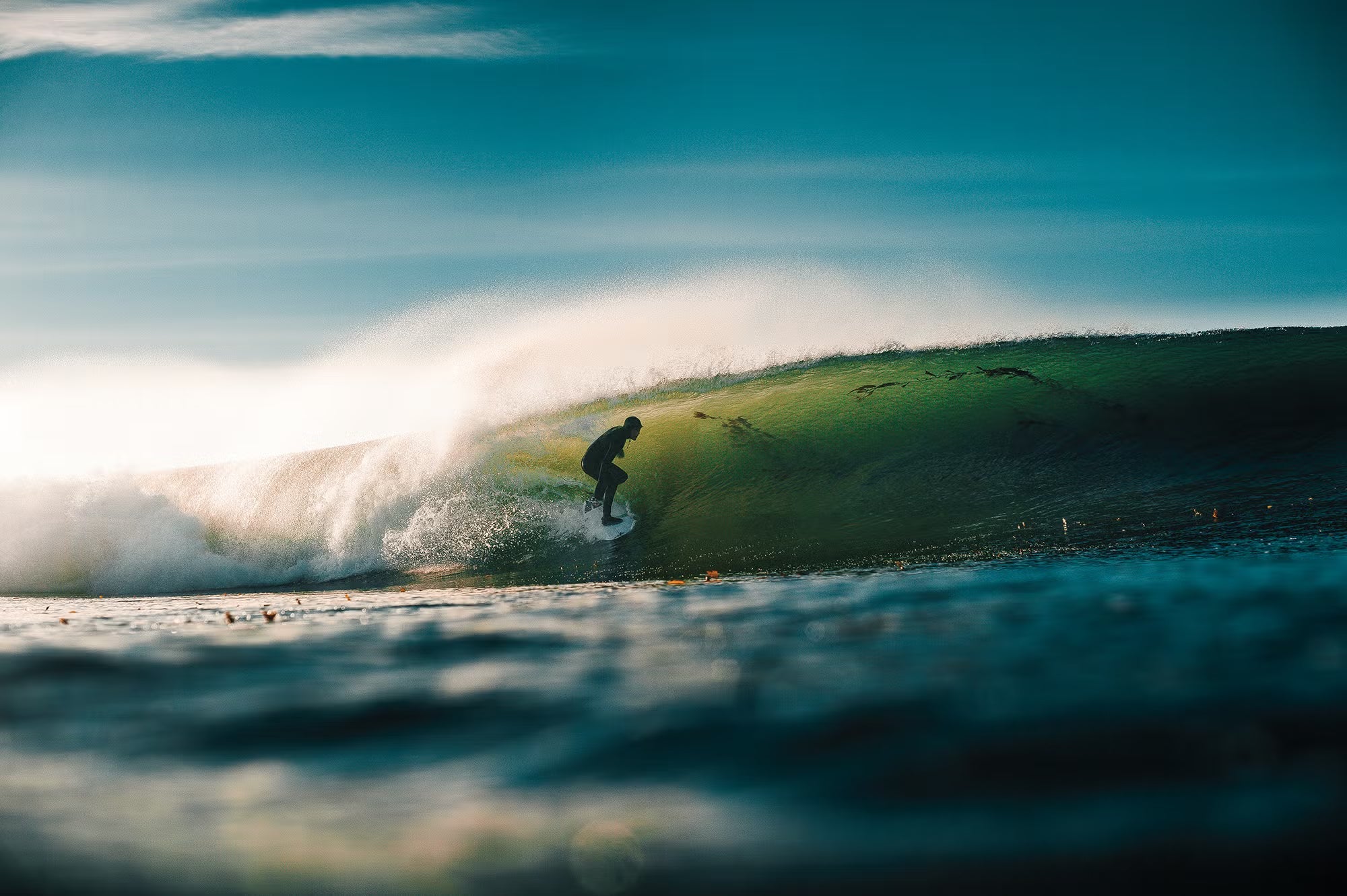 Everything You Need to Know About Choosing a Wetsuit