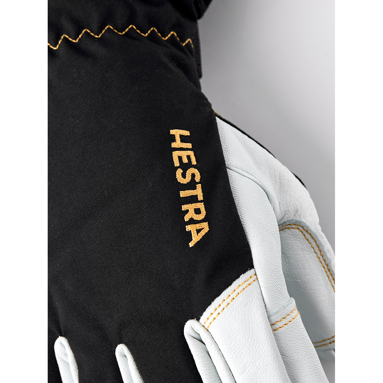 Hestra Men's Army Leather GTX Ski Glove - 5 Finger