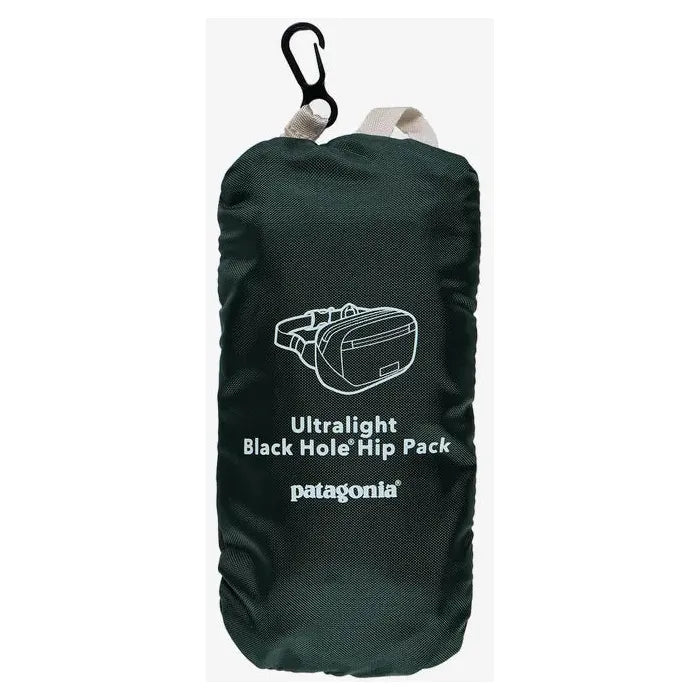 Patagonia Ultralight Black Hole Mini Hip Pack 1L