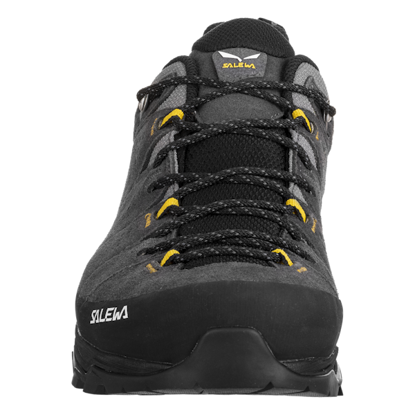Salewa Men's Alp Trainer 2 Gore-Tex Hiking Shoes