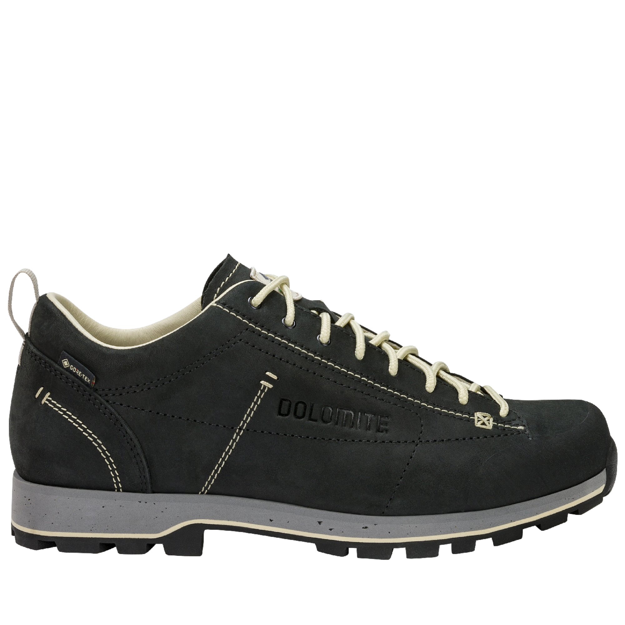 Dolomite Men's 54 Low Fg Evo Gore-Tex Shoes