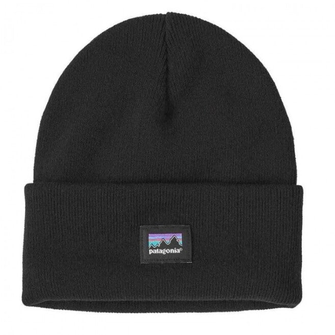 Patagonia Everyday Beanie