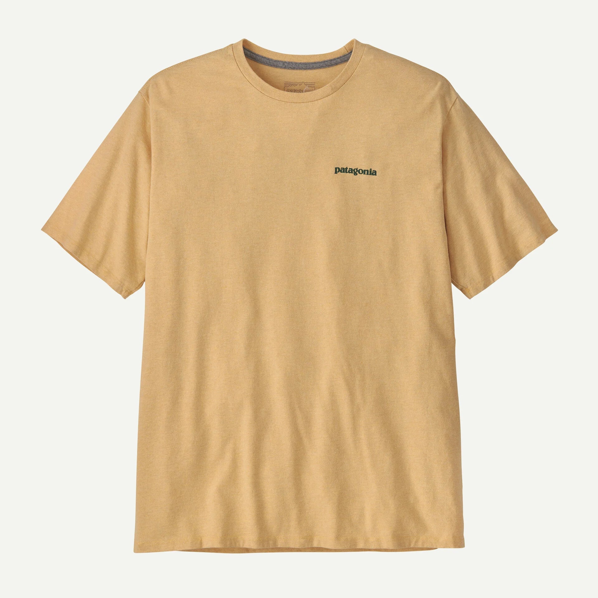 Patagonia Men's Flying Fish Responsibili-Tee