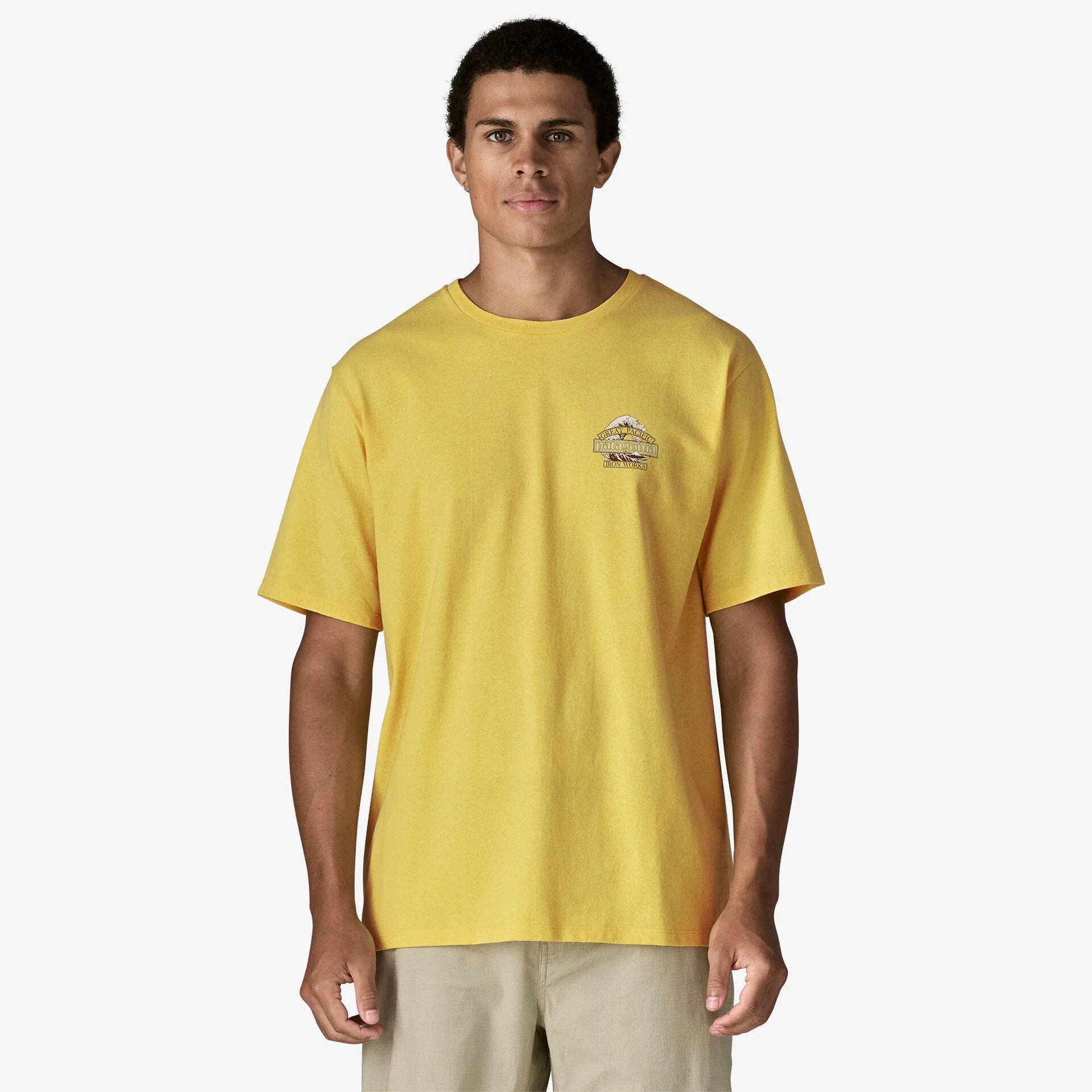 Patagonia Men’s Great Waves Responsibili-Tee T-Shirt