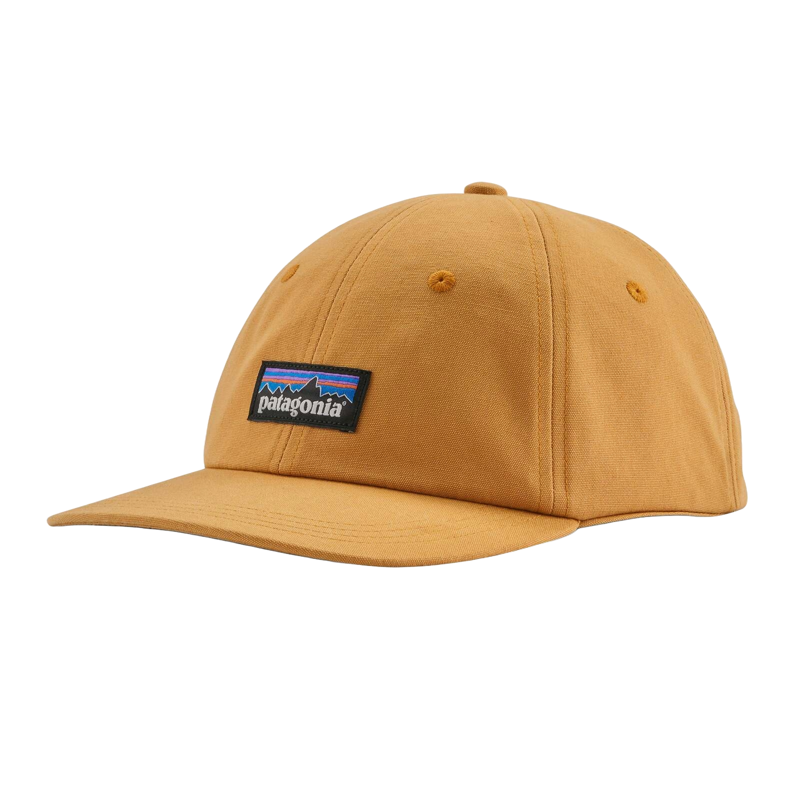 Patagonia P-6 Label Trad Cap