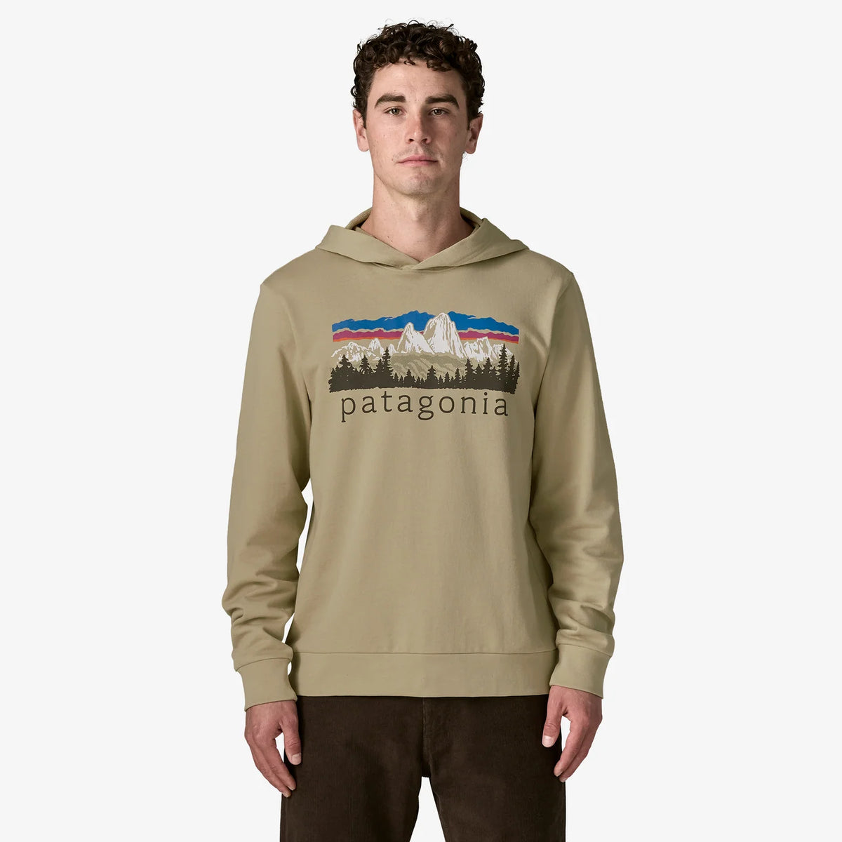 Patagonia Men's Fitz Roy Foothills Daily Hoody