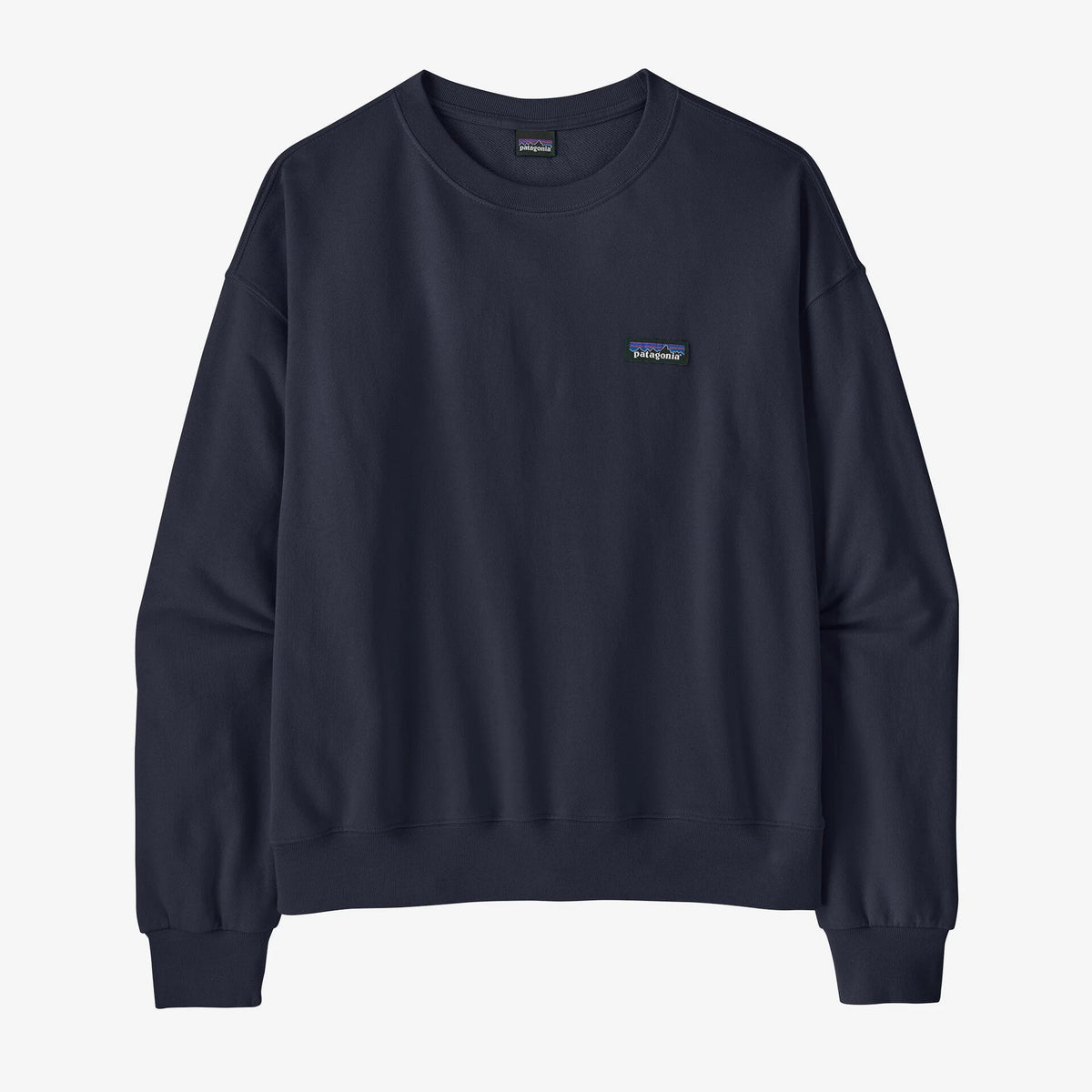 Patagonia Women's Daily Crew Pullover