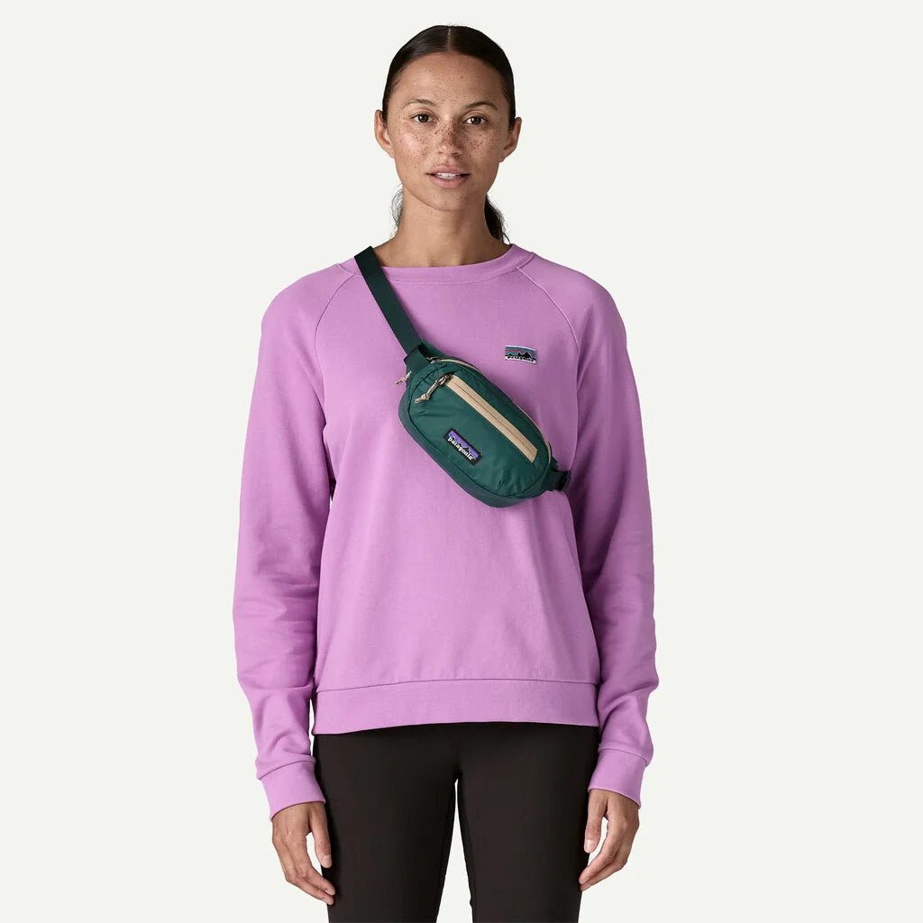 Patagonia Terravia Mini Hip Pack