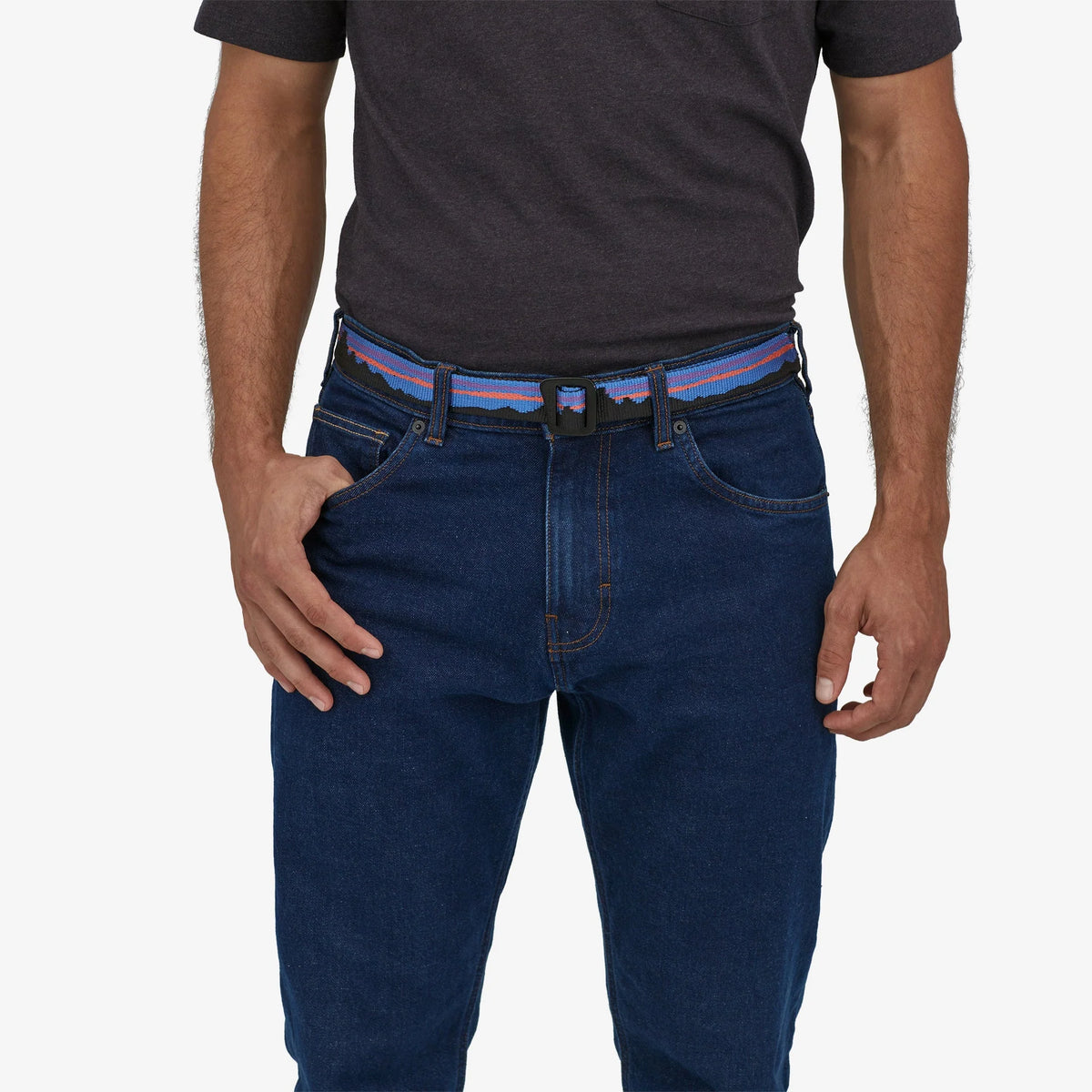 Patagonia Friction Belt '26
