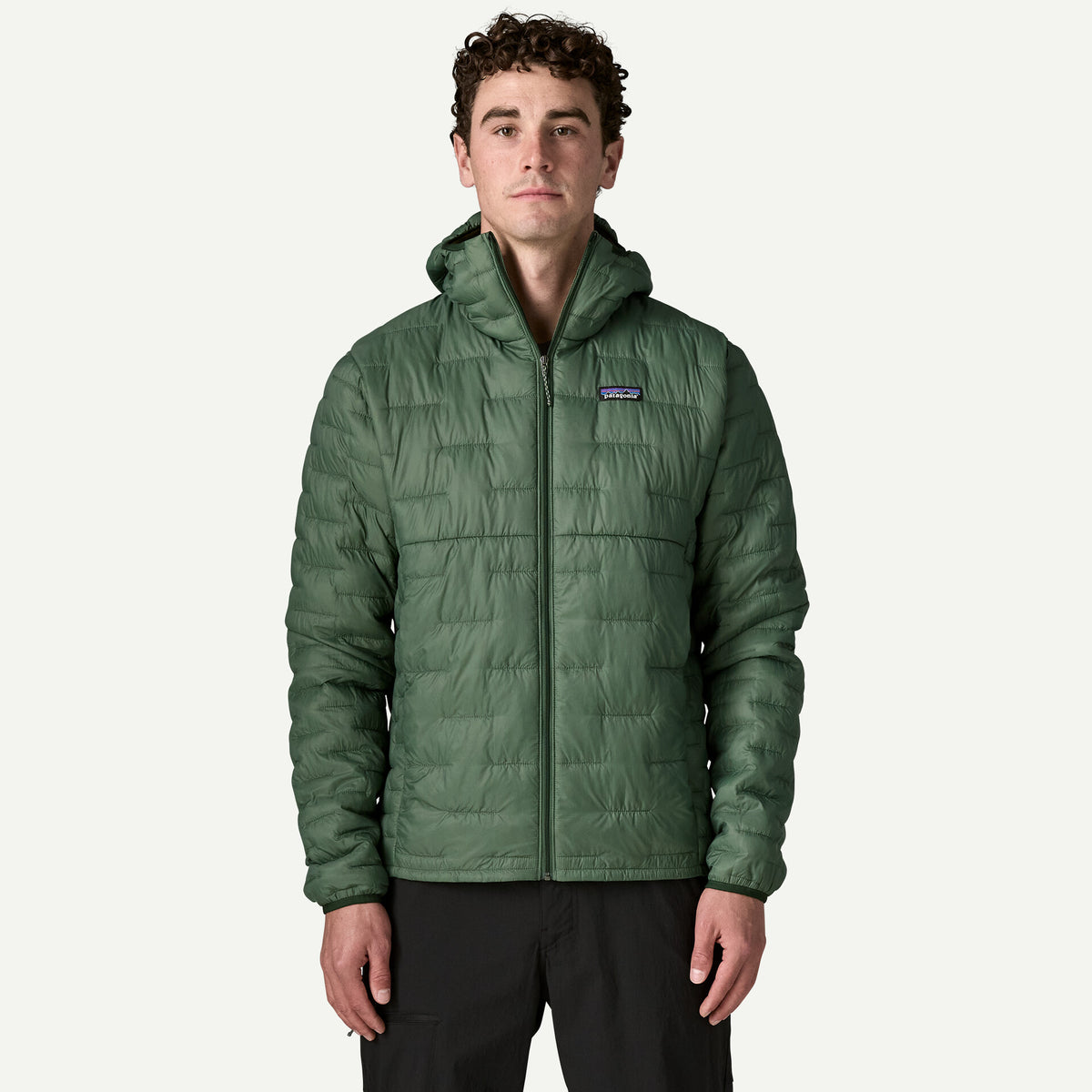 Patagonia Men's Micro Puff Hoody