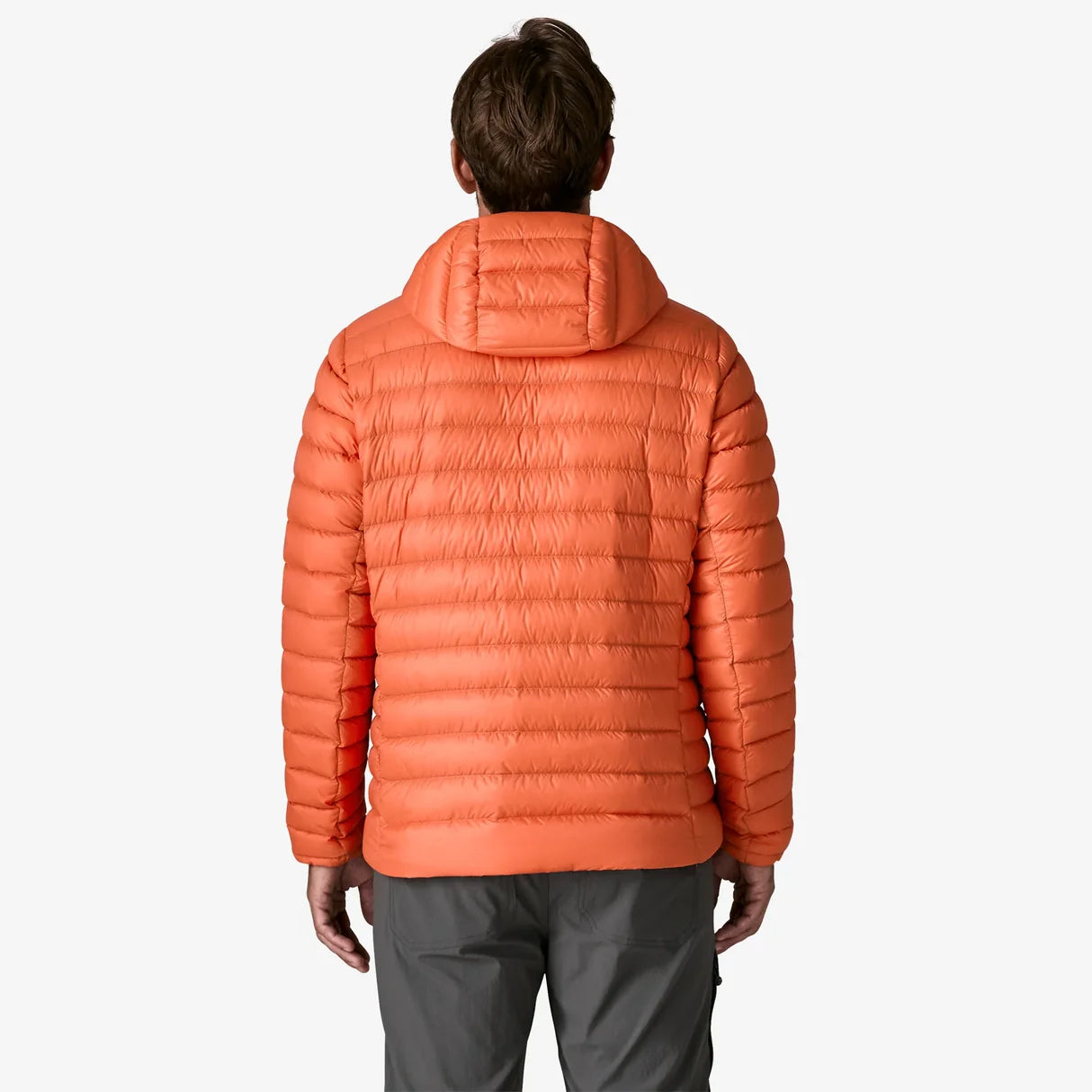 Patagonia Men's Down Sweater Insulated Hoody