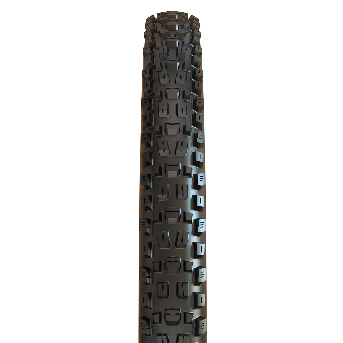 Maxxis Assegai 29" Tyre
