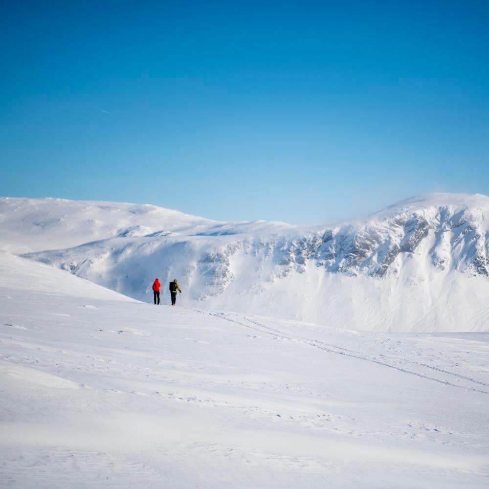 Norrøna Men's falketind down750 Hood