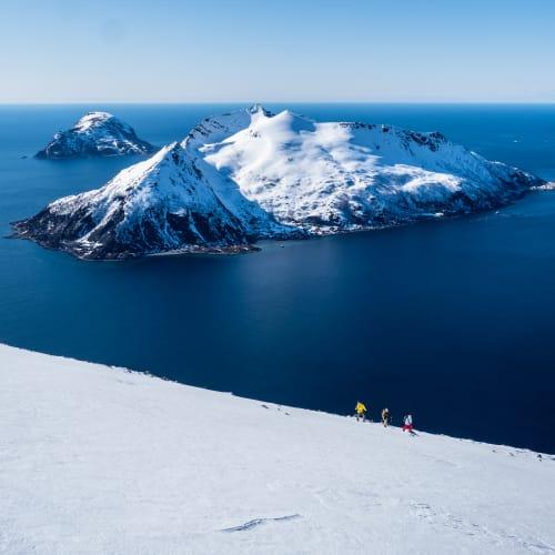 Norrøna Women's Lofoten Gore-Tex Pro Pants