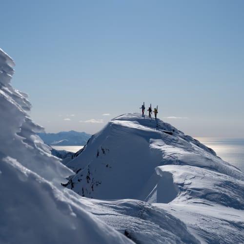 Norrøna Women's Lofoten Gore-Tex Pro Pants
