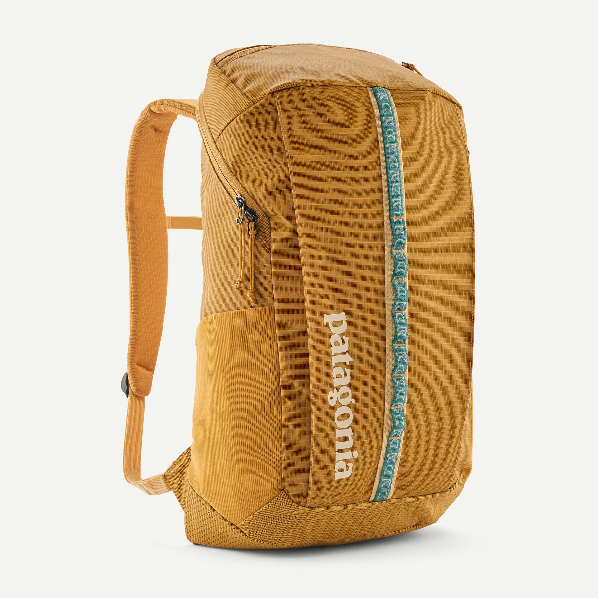 Patagonia Black Hole Pack 25L