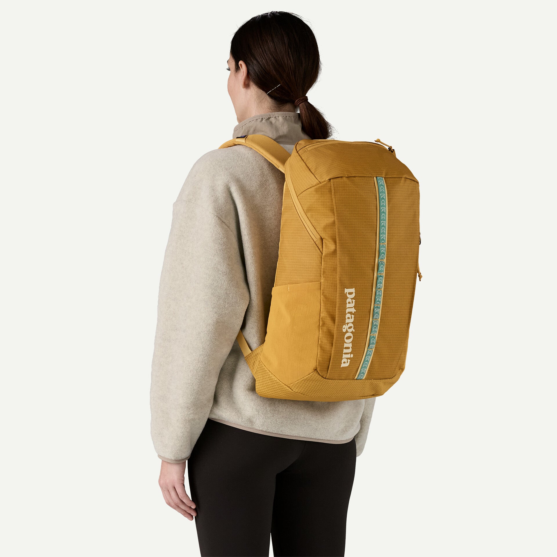 Patagonia Black Hole Pack 25L