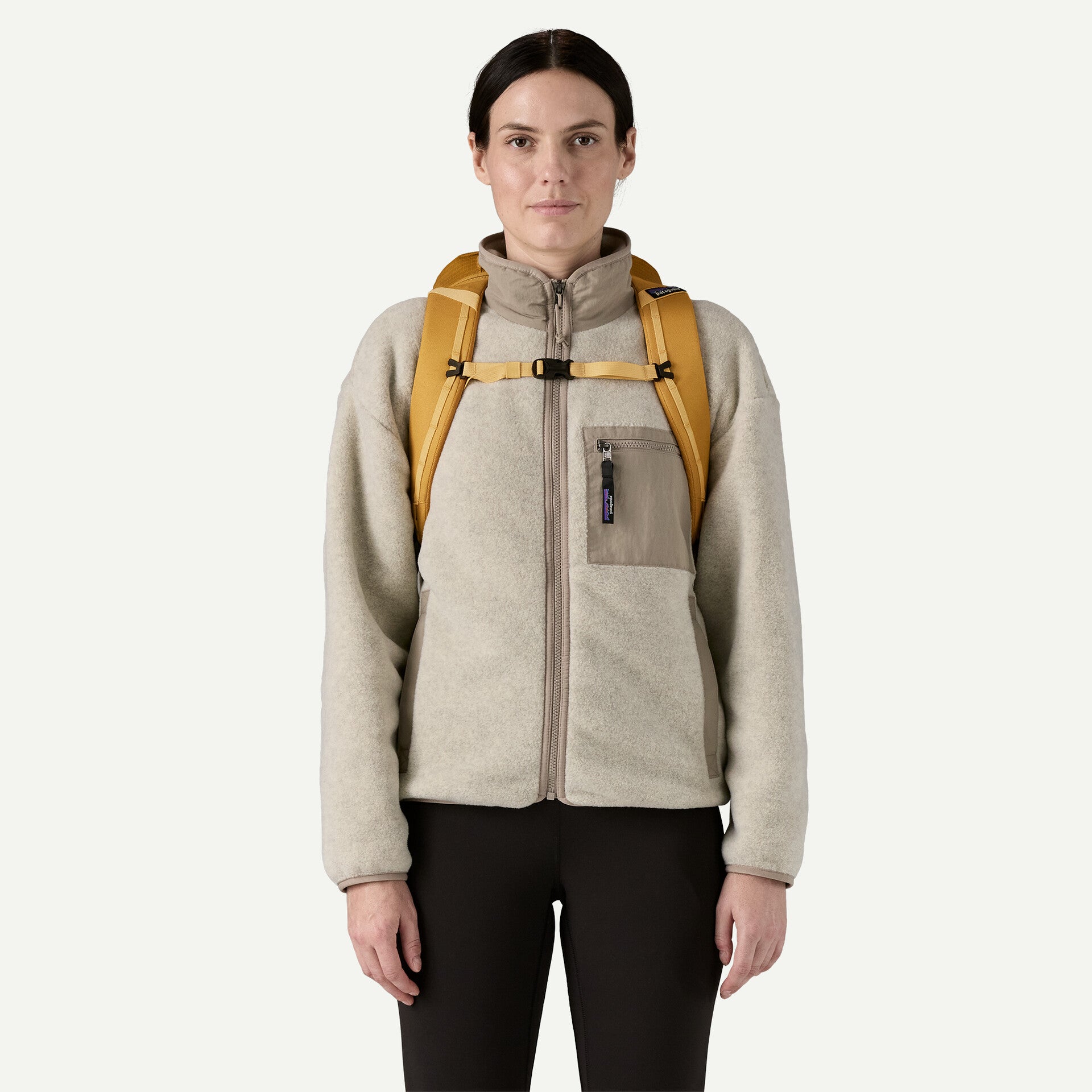 Patagonia Black Hole Pack 25L