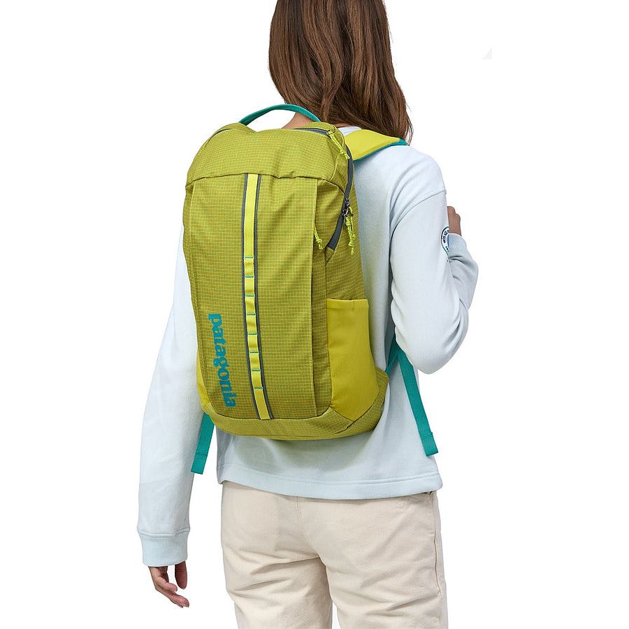 Patagonia Black Hole Pack 25L