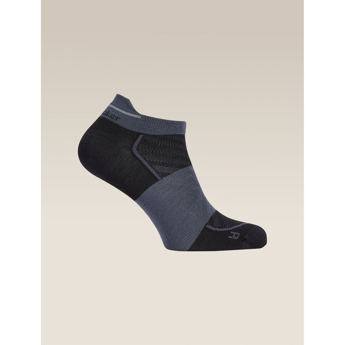 Icebreaker Women's Merino Blend Run+ Ultralight Micro Socks