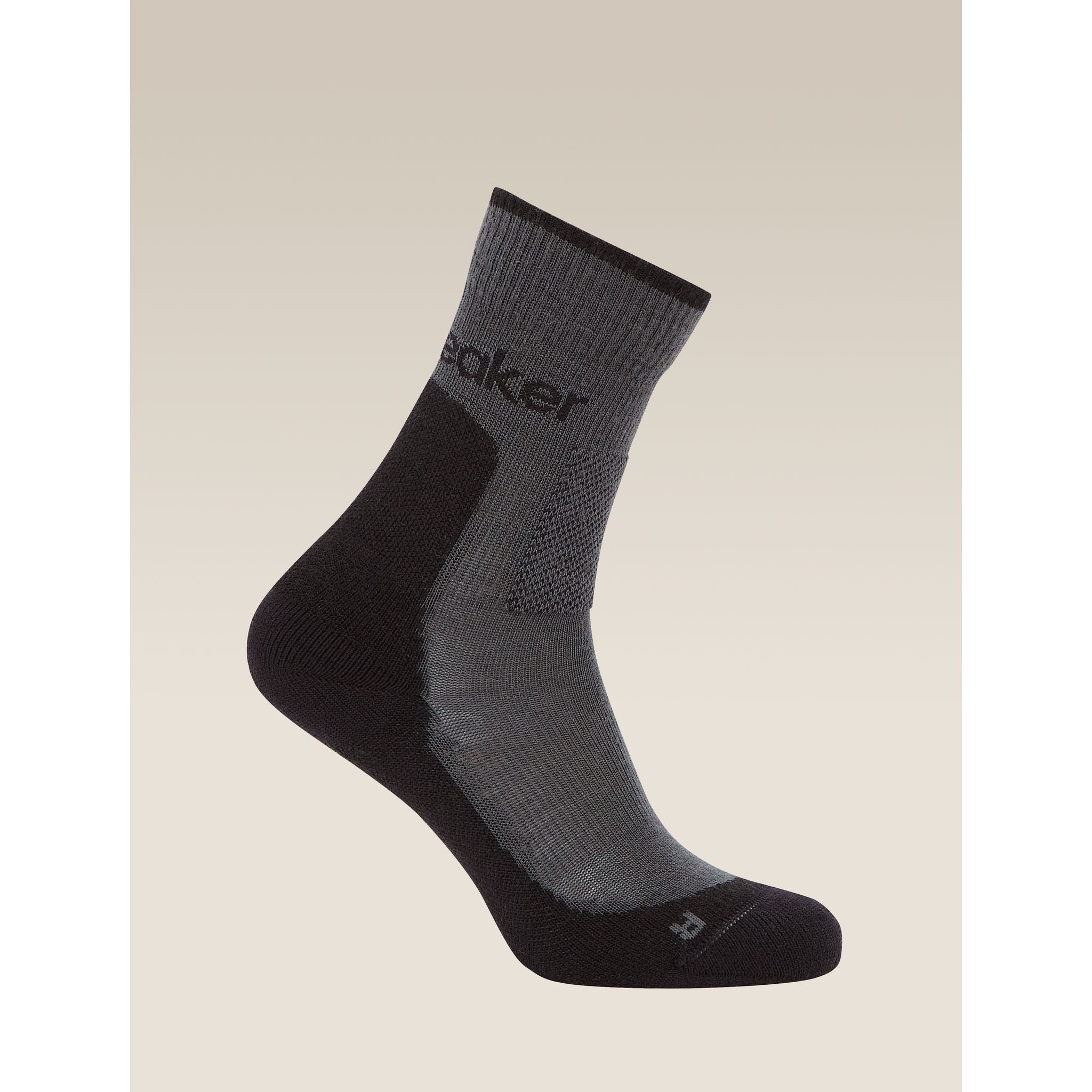 Icebreaker Women's Merino Hike+ Medium Crew Socks