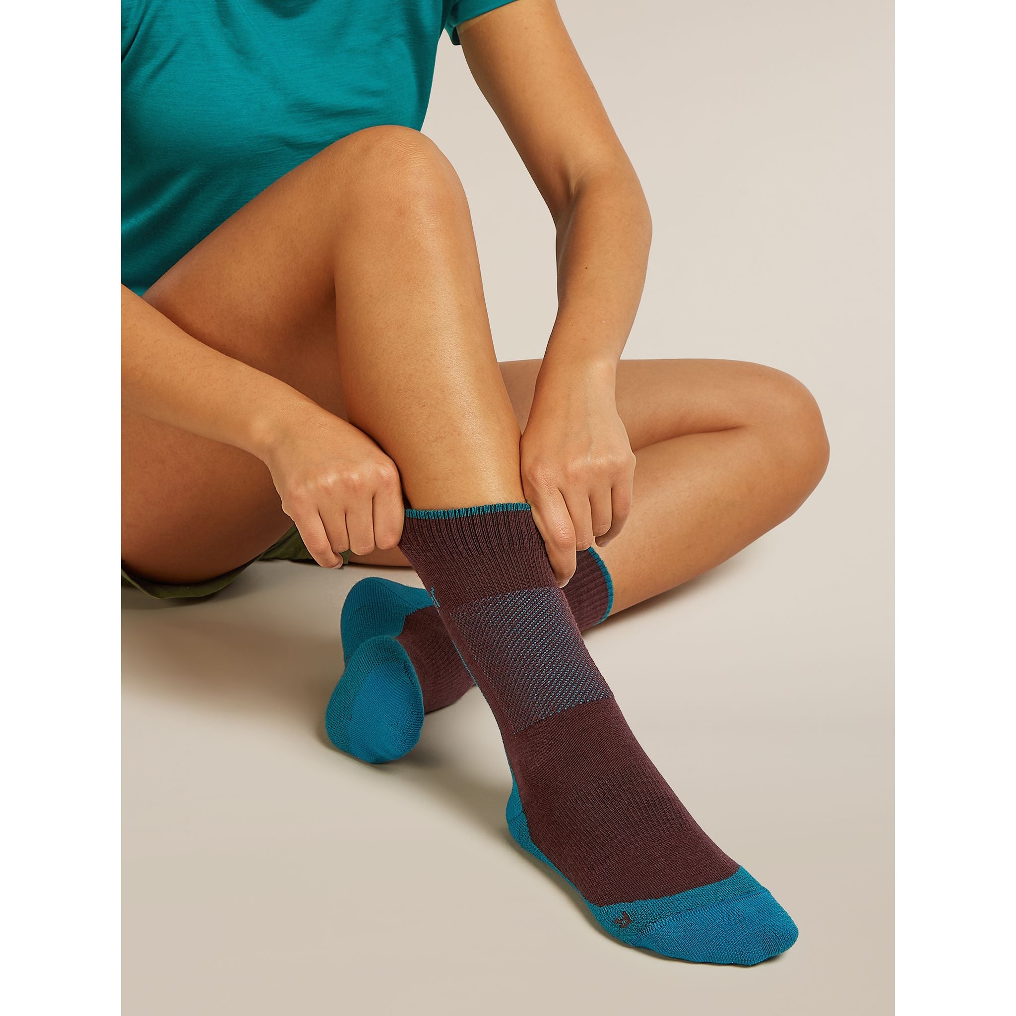 Icebreaker Women's Merino Hike+ Medium Crew Socks