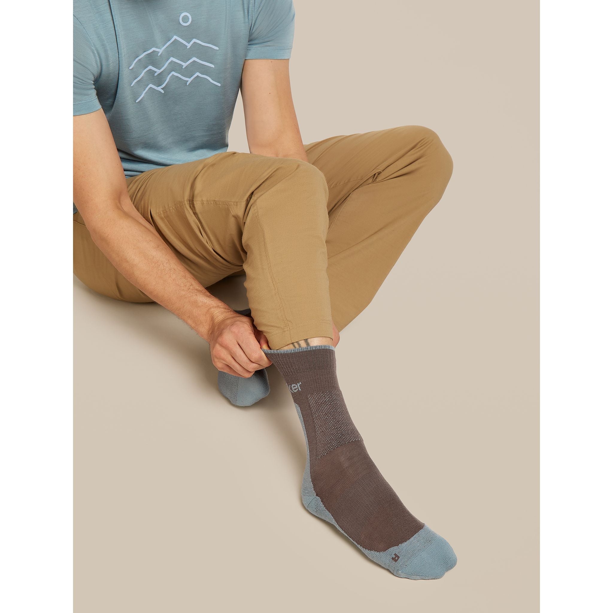 Icebreaker Men's Merino Hike+ Medium Crew Socks