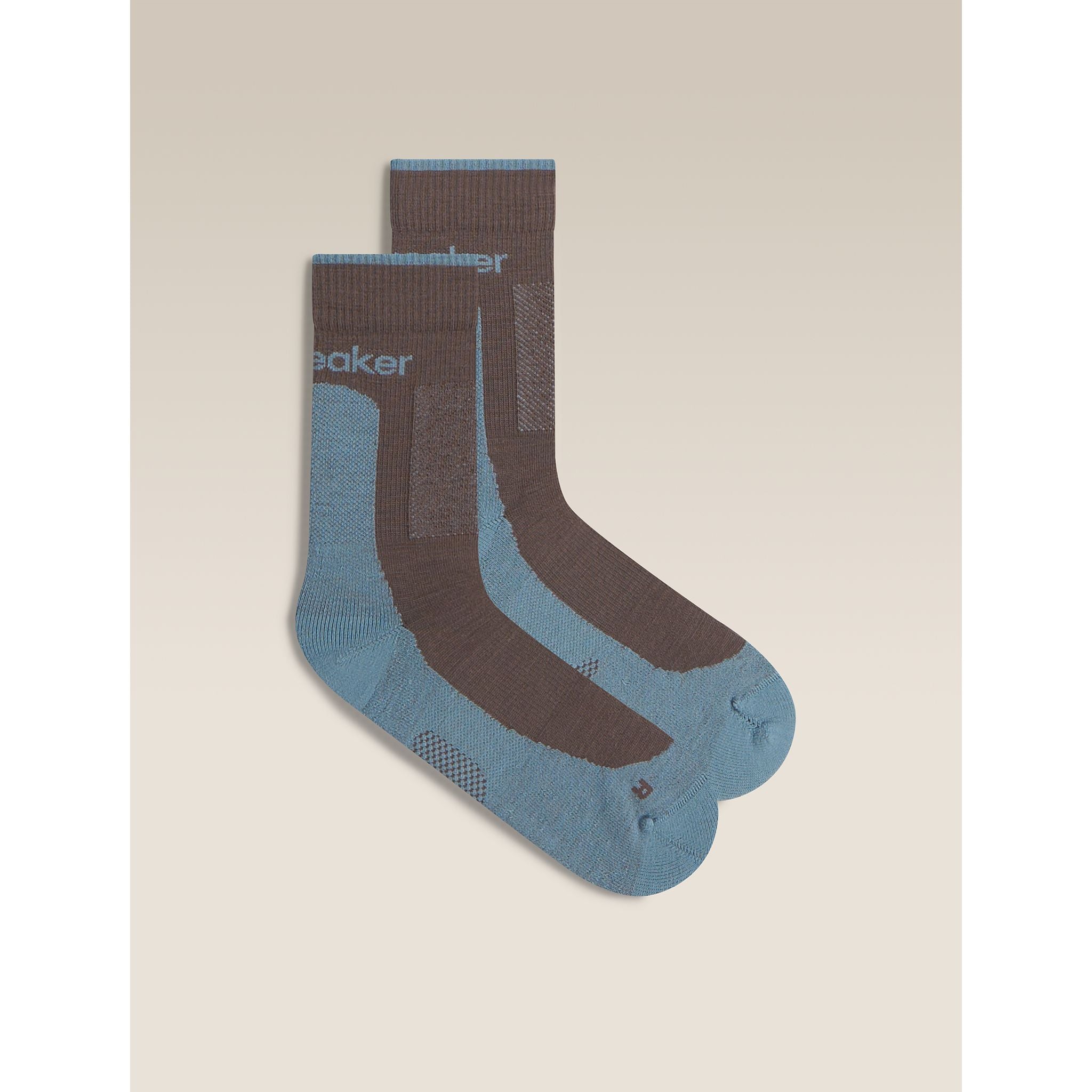 Icebreaker Men's Merino Hike+ Medium Crew Socks